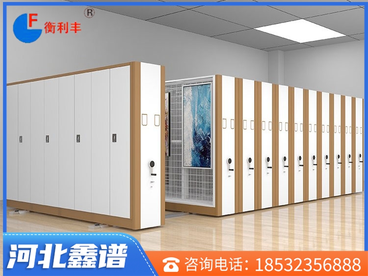 油畫(huà)密集柜、架