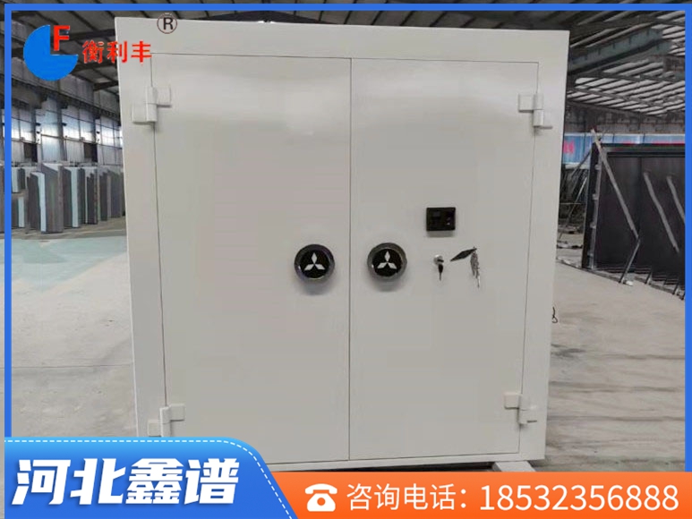 雙開碳鋼金庫門